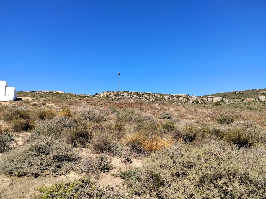 0 Bedroom Property for Sale in Steenbergs Cove Western Cape